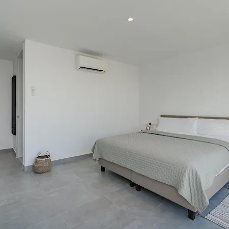 Estandar 8- Casangular By Upper 阿德耶